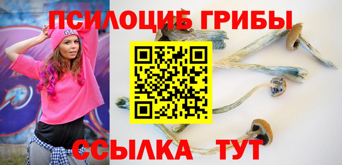 Галлюциногенные грибы прущие грибы Елизово