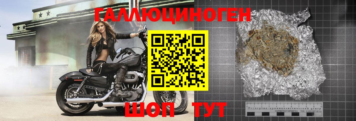 наркотики  Вход с VPN  Елизово  Галлюциногенные грибы GOLDEN TEACHER 